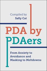 PDA by PDAers cover